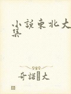 小说东北大炕全集