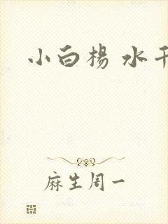 小白杨 水千丞封面