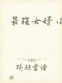 最强女婿 小说