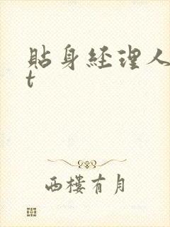 贴身经理人txt封面