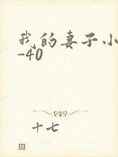 我的妻子小谨1-40封面