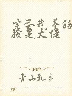 完蛋我养的小白脸是大佬