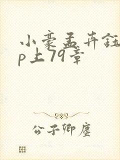 小豪孟卉钰慧三p上79章