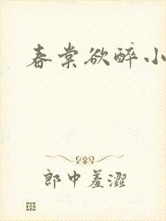 春棠欲醉小说封面