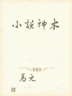 小说神木