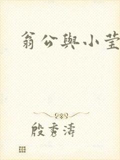 翁公与小莹封面