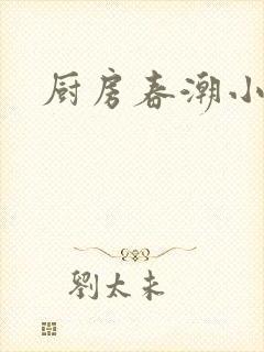 厨房春潮小说