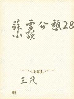 苏雪公憩28篇小说封面