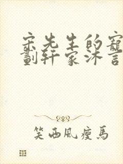 宋先生的宠妻计划轩家沐言