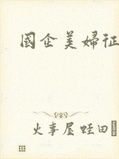 国企美妇征途
