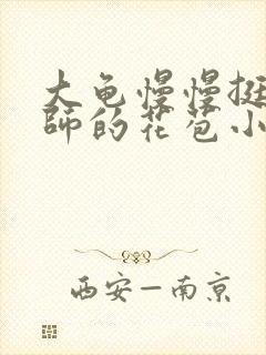 大龟慢慢挺进老师的花苞小说封面