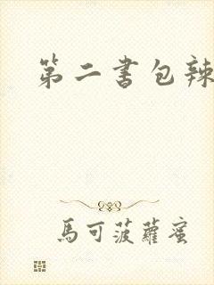 第二书包辣文