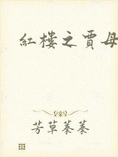 红楼之贾母