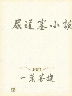 尿道塞小说