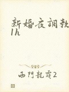 新婚夜调教1v1h