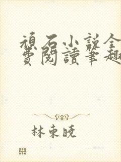 顽石小说全文免费阅读笔趣阁