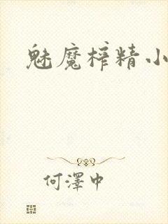 魅魔榨精小说封面