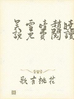 吴雪晴赵晓东小说免费阅读