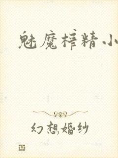 魅魔榨精小说