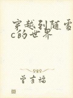 穿越到随处可以c的世界