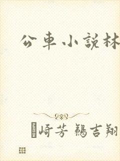 公车小说林蔓蔓封面