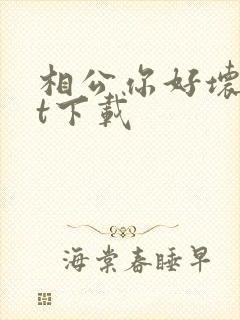 相公你好坏txt下载