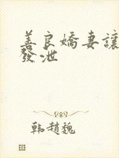 善良娇妻让老丁发泄封面
