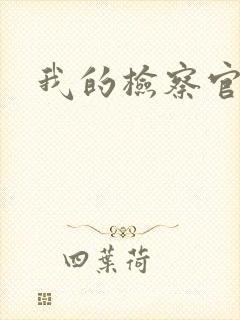 我的检察官先生
