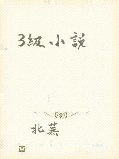 3级小说