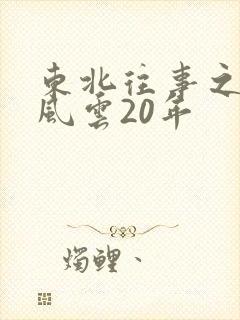 东北往事之黑道风云20年