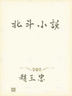 北斗小说