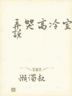 弄哭高冷室友小说