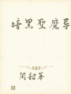 暗黑圣魔导
