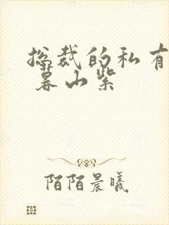 总裁的私有宝贝 暮山紫