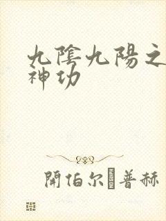 九阴九阳之阴阳神功