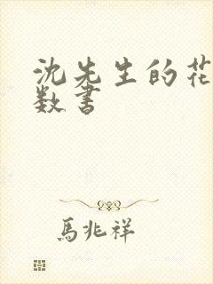 沈先生的花式调数书