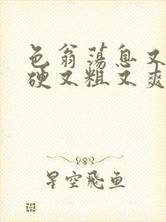 色翁荡息又大又硬又粗又爽小莹