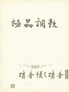 极品调教封面