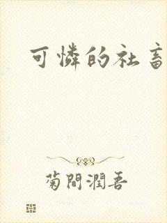 可怜的社畜
