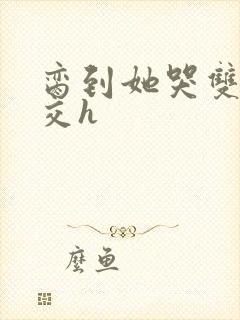 脔到她哭双根宫交h封面