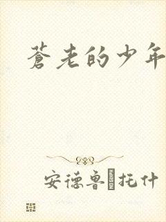 苍老的少年封面