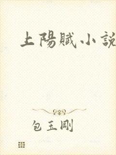 上阳赋小说