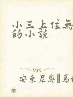 小三上位无三观的小说封面