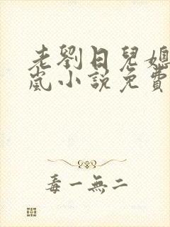 老刘日儿媳妇张岚小说免费阅读