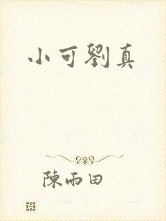 小可刘真封面