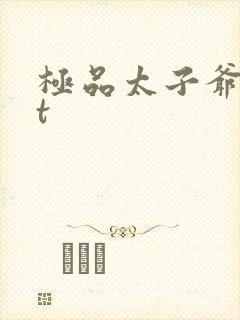 极品太子爷txt
