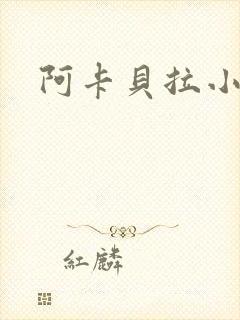 阿卡贝拉小说