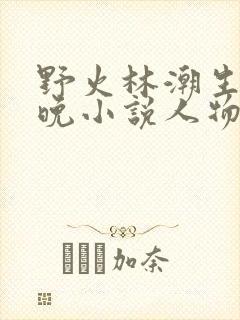 野火林潮生林晚晚小说人物野火