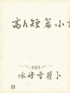 高h短篇小说