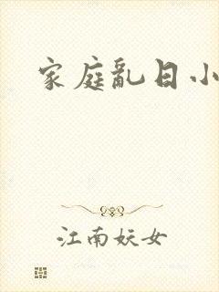 家庭乱日小说封面